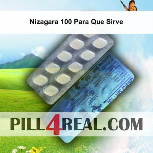 Nizagara 100 Para Que Sirve 717