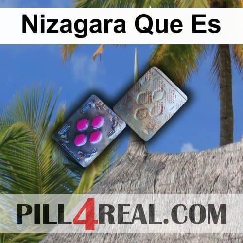 Nizagara Que Es 879