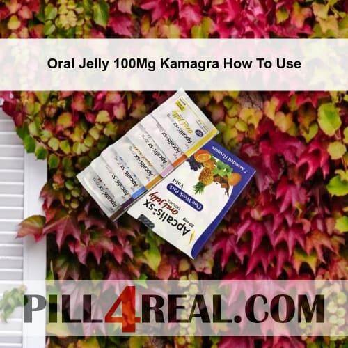 Oral Jelly 100Mg Kamagra How To Use 401