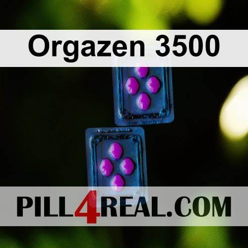Orgazen 3500 217