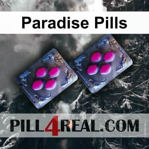 Paradise Pills 536