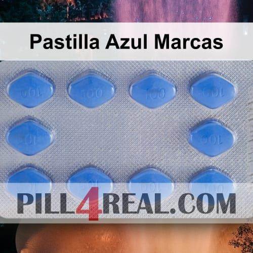 Pastilla_Azul_Marcas_256.jpg