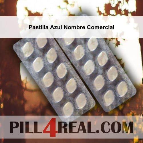 Pastilla_Azul_Nombre_Comercial_811.jpg
