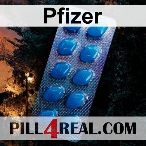 Pfizer 513