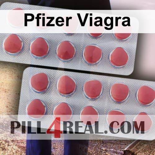 Pfizer Viagra 290