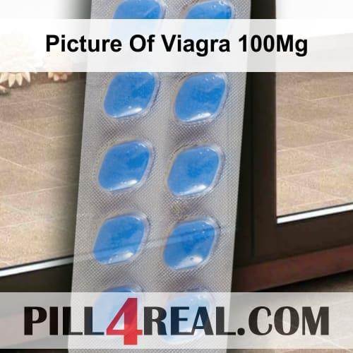 Picture Of Viagra 100Mg 342