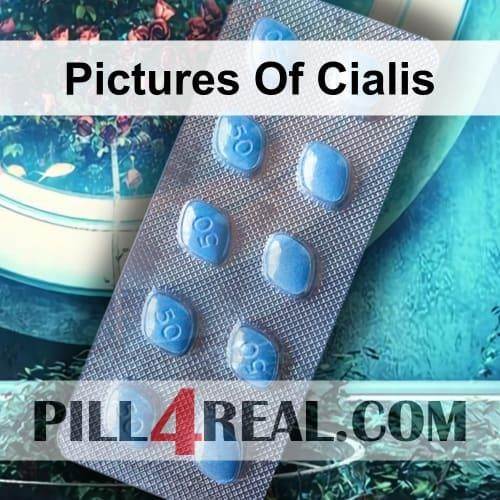 Pictures Of Cialis 331