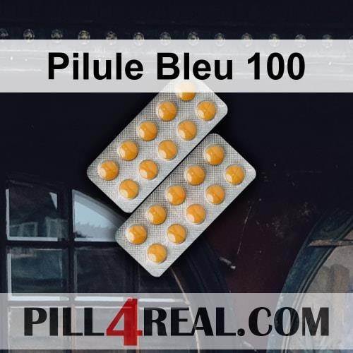 Pilule_Bleu_100_107.jpg