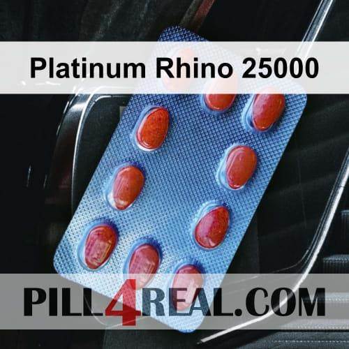 Platinum Rhino 25000 171