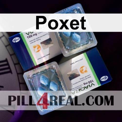 Poxet 804