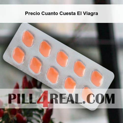 Precio Cuanto Cuesta El Viagra 851