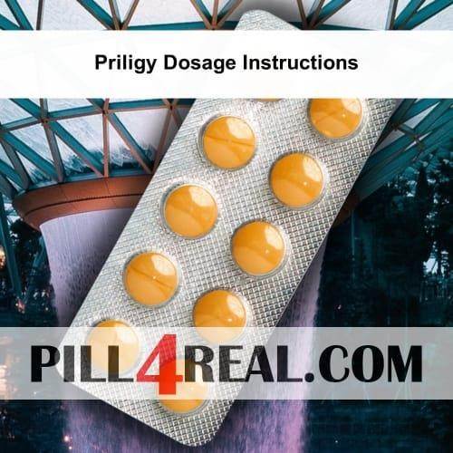 Priligy Dosage Instructions 283