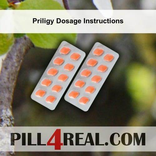 Priligy Dosage Instructions 536