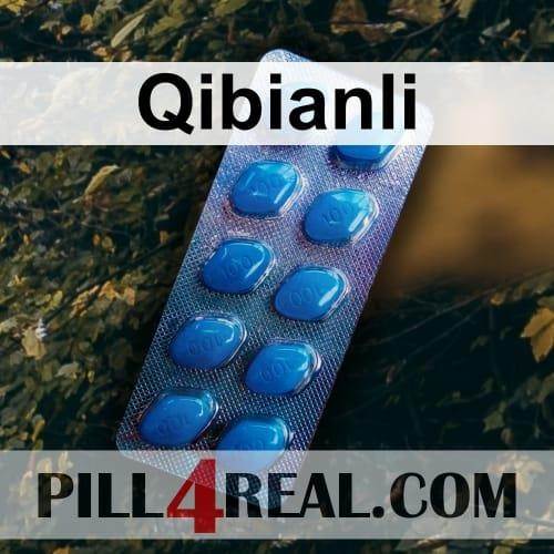 Qibianli 151