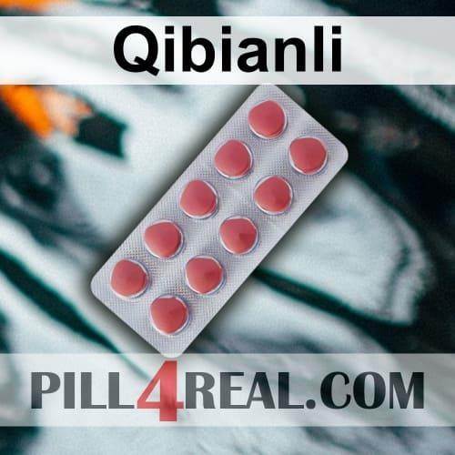Qibianli 507