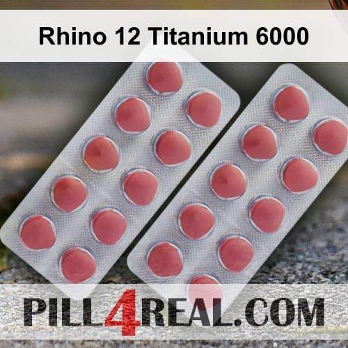 Rhino_12_Titanium_6000_131.jpg