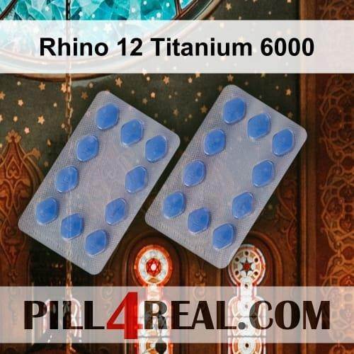 Rhino_12_Titanium_6000_332.jpg