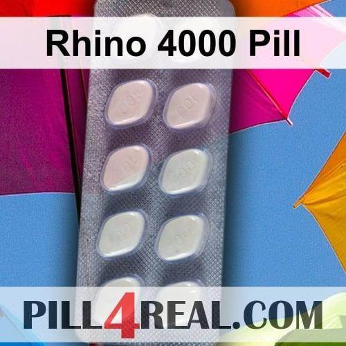Rhino 4000 Pill 844