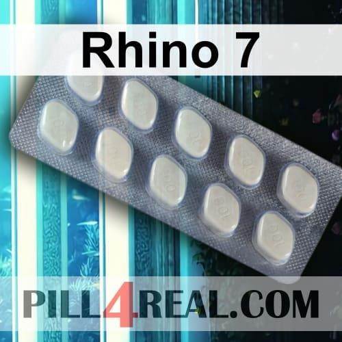 Rhino 7 276