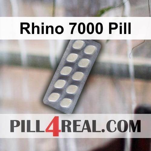 Rhino 7000 Pill 117