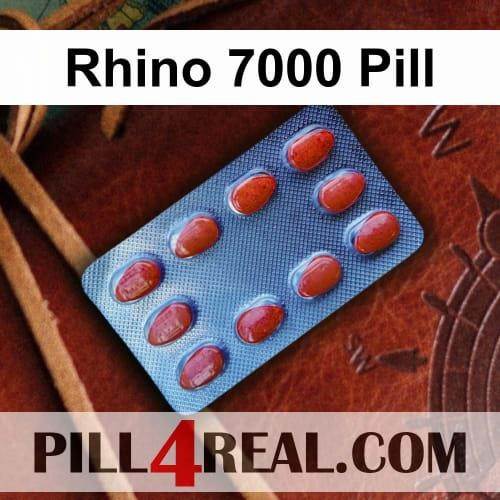Rhino 7000 Pill 179