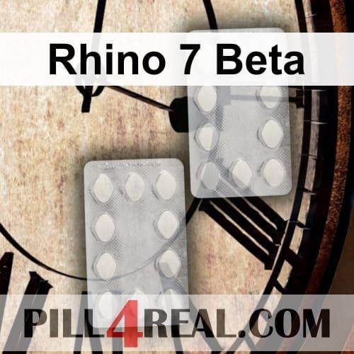 Rhino 7 Beta 173