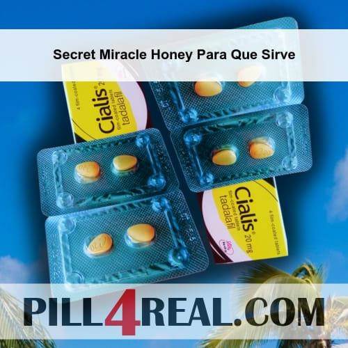 Secret Miracle Honey Para Que Sirve 479