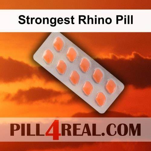 Strongest Rhino Pill 597