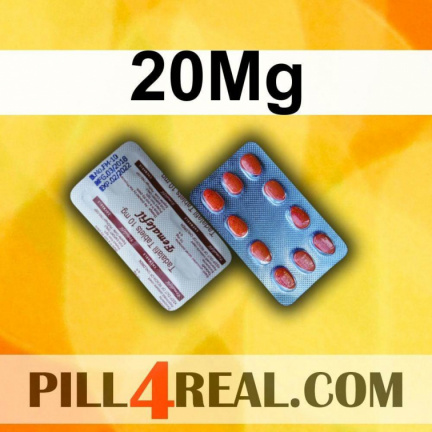 20Mg 221