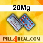 20Mg 221