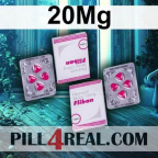 20Mg 313