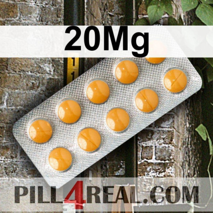 20Mg 423
