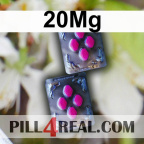 20Mg 691