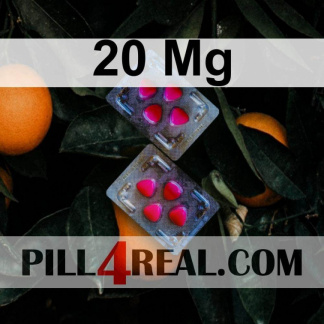 20 Mg 271