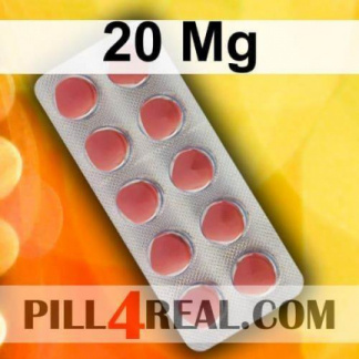 20 Mg 512