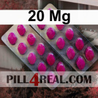 20 Mg 534