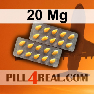 20 Mg 608