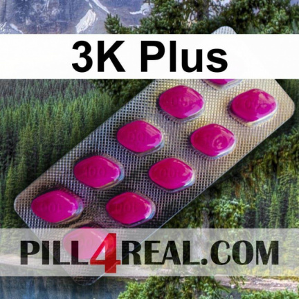 3K Plus 373