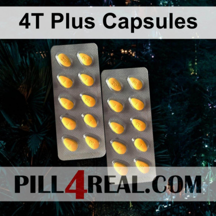 4T Plus Capsules 463