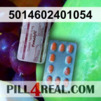 5014602401054 481