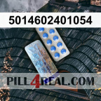 5014602401054 600