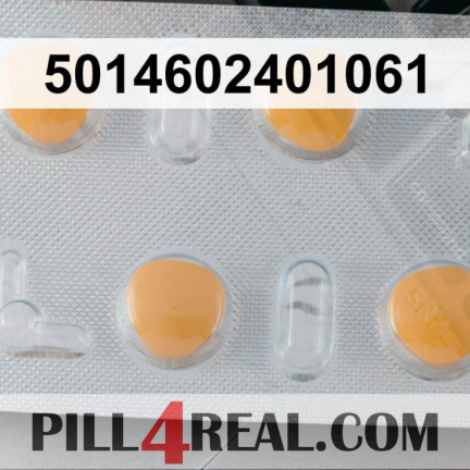 5014602401061 588