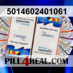 5014602401061 729