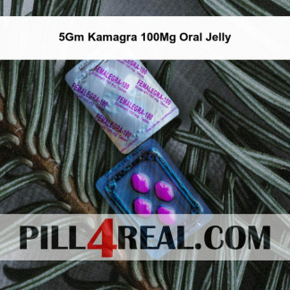 5Gm Kamagra 100Mg Oral Jelly 094