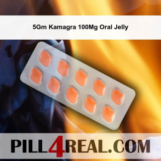 5Gm Kamagra 100Mg Oral Jelly 513