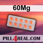 60Mg 478