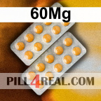 60Mg 541