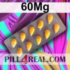 60Mg 891