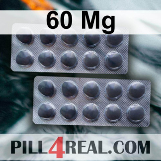 60 Mg 293