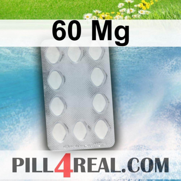 60 Mg 343